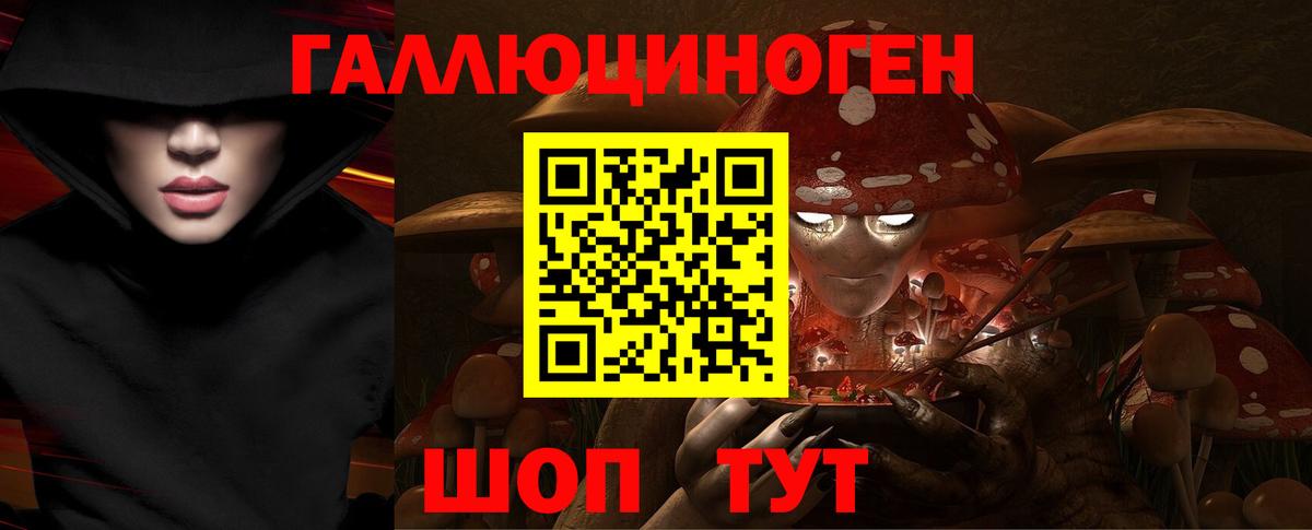 Сертолово  Псилоцибиновые грибы GOLDEN TEACHER  Вход с VPN 